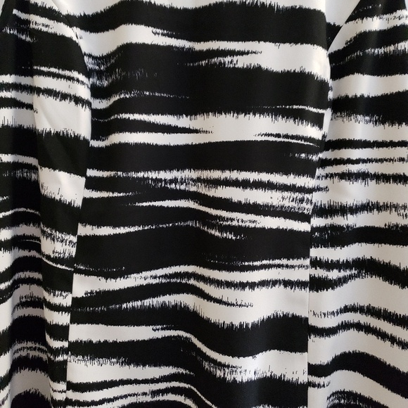 Jones Studio Zebra Print Sleeveless Shift Dress, Filly Lined in Plus Sz 20W/2X - Picture 10 of 17